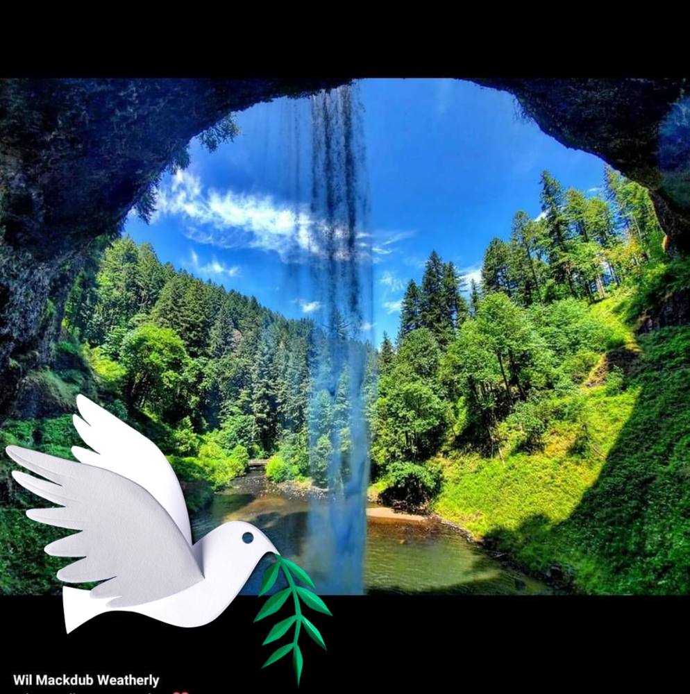 Meet your Posher, Gina